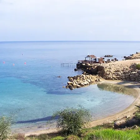 Holiday 164 * Πρωταράς